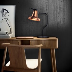 Garcon Burolamp Garcon Desklamp Design Nutcreatives voor Carpyen